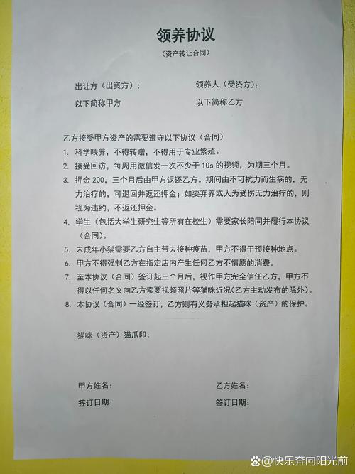 民间私下送养收养手写协议书