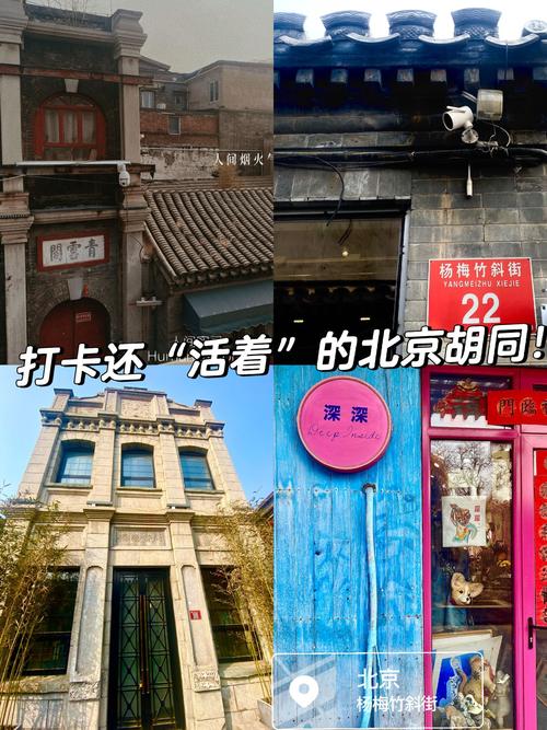 日子在过，胡同就活着