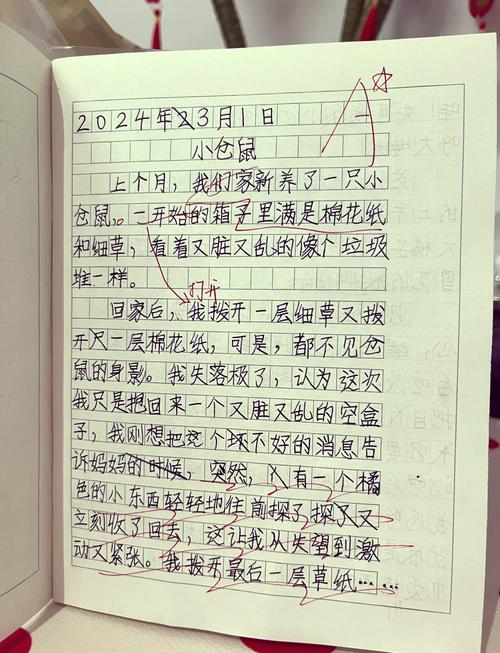 小学生周记本上手写4/4拍标注实拍