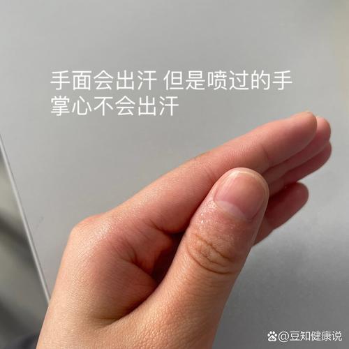 汗手触控测试手机测评实拍图