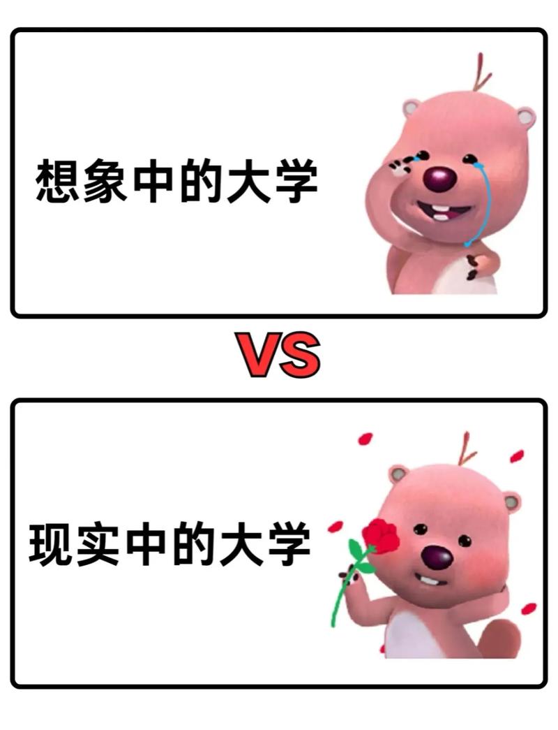 毕业出路：理想和现实隔了几条街？