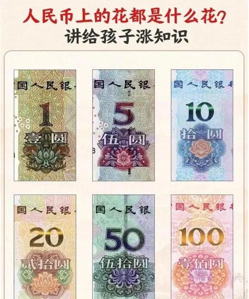 市面上的花样,我看多半是智商税