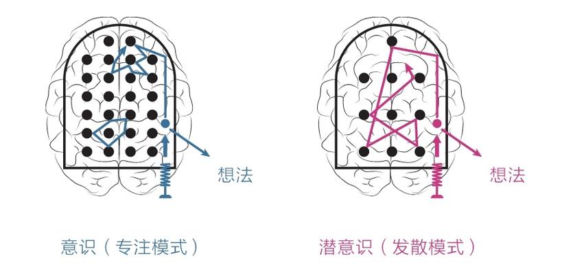 大脑专注模式与发散模式神经网络对比图