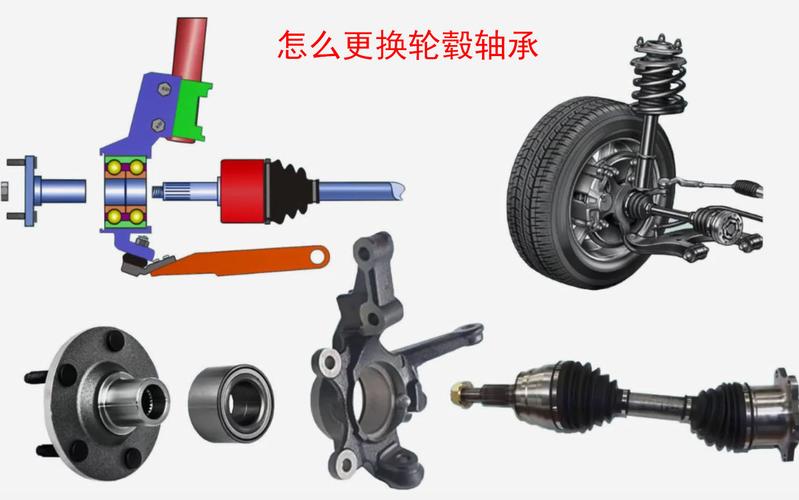 汽车轮毂轴承微动磨损解剖图