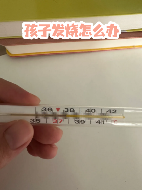 儿童发烧12小时内体温变化记录图