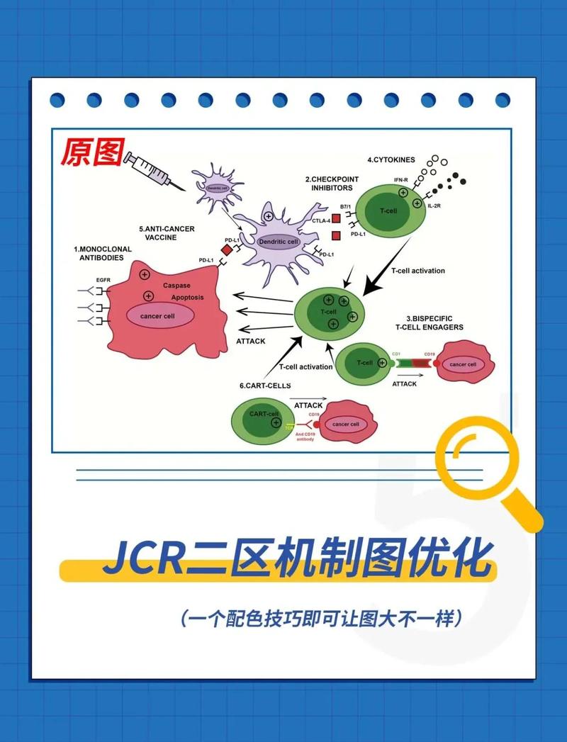 细胞化架构与韧性设计模式对比