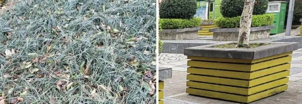 南京主城区商品房和回迁小区绿化对比图