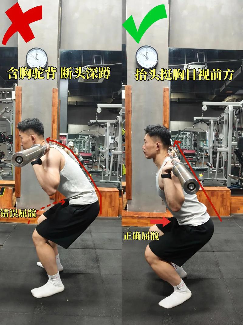 健身房杠铃深蹲动作教导图