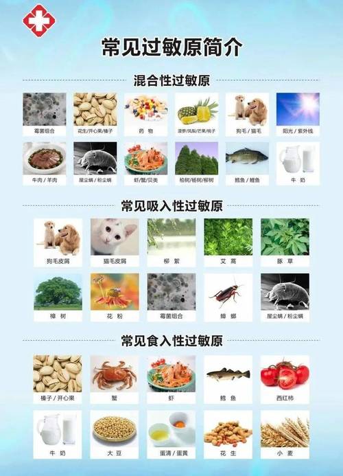 常见室内外过敏原分类图