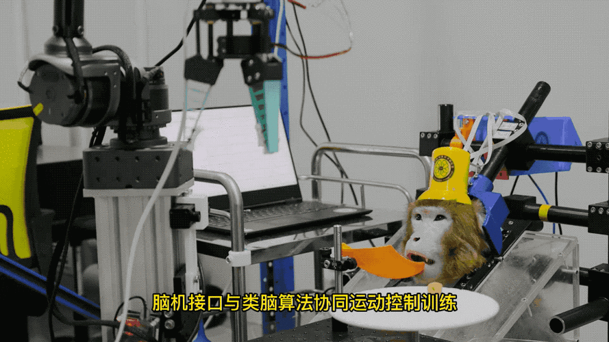 脑机接口猴子意念控制乒乓实验示意图