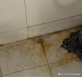 淋浴间瓷砖缝堆积的浅棕色水垢特写