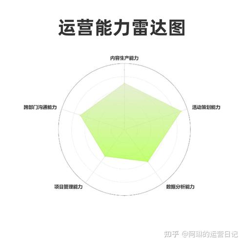 运营岗位核心技能雷达图