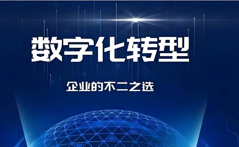 数字化是业务的事儿，IT只是修路的