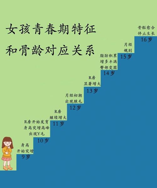 青春期女孩身体变化信号示意图