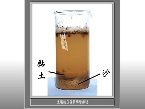 土壤分层玻璃瓶静置实验照片