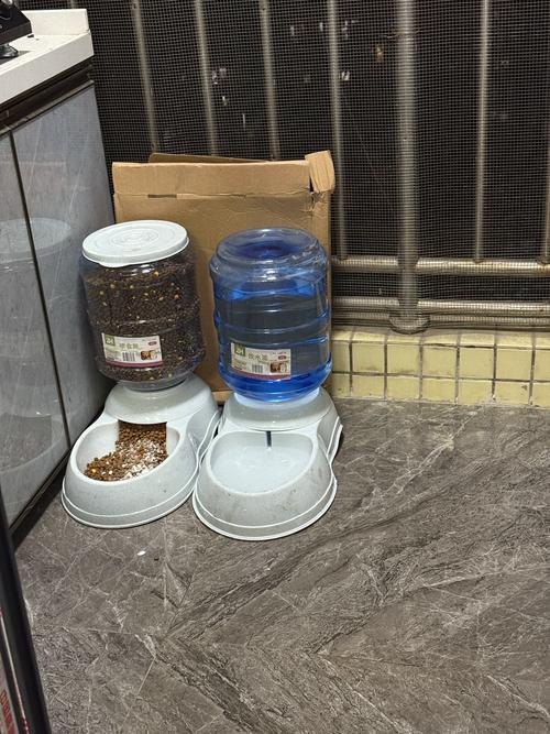 家庭常见宠物饮水器具摆放错误示意图