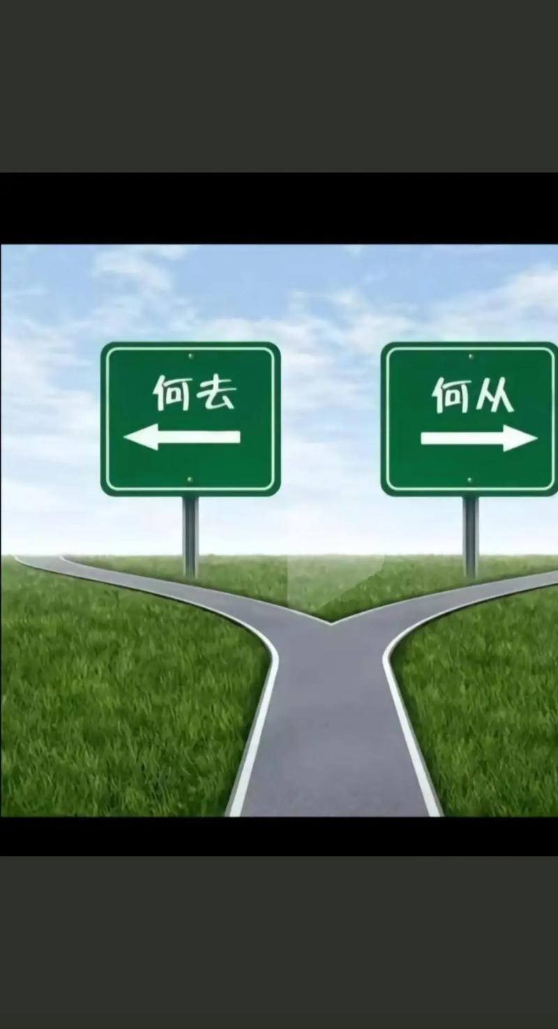 为什么我们选择了这条路
