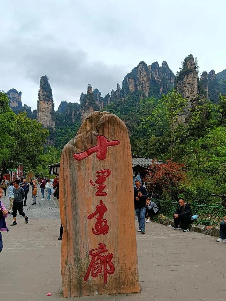 张家界十里画廊沿途峰林景观