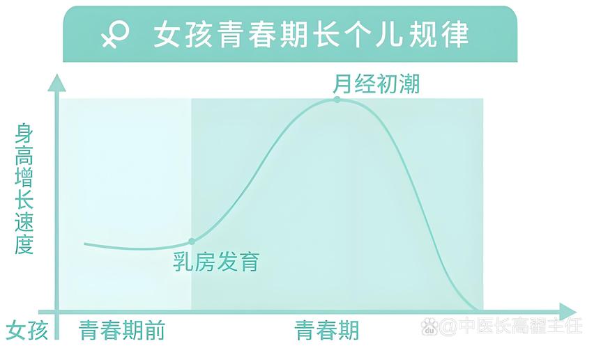 青春期女孩初潮前身体变化示意图