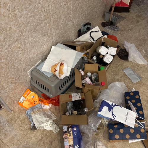 开箱后闲置落灰的网红宠物急救箱