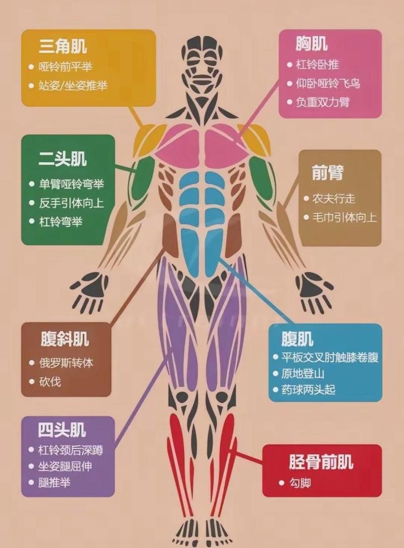 从个人懊恼到组织肌肉