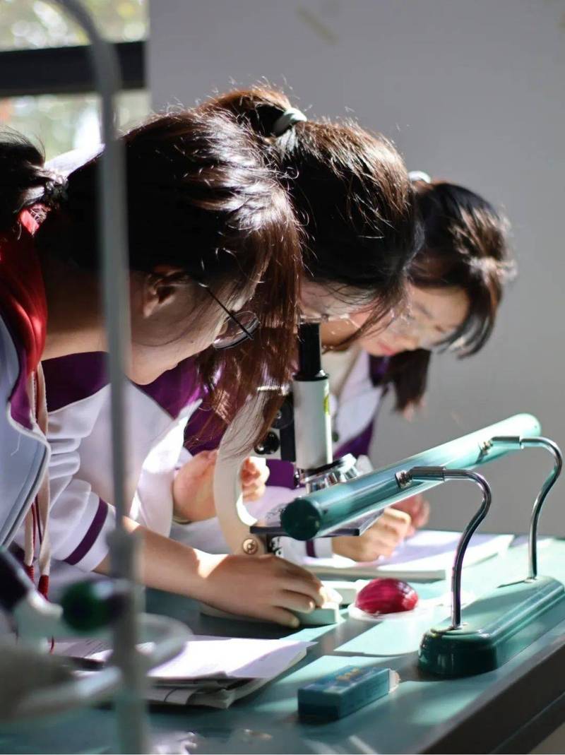 清华暑期学校学生做实验场景