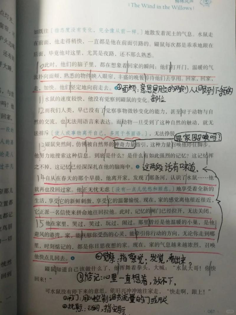 语文阅读理解原文圈画重点痕迹实拍