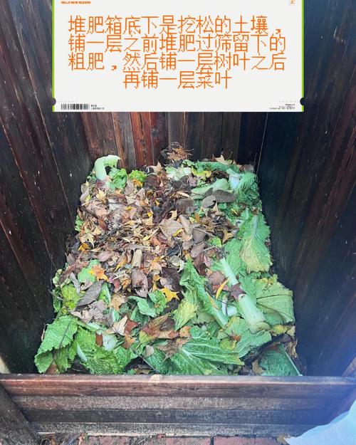 哪些落叶不能往堆肥里放？