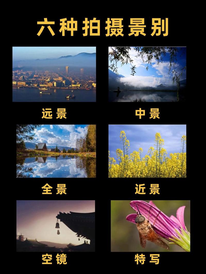 短视频拍摄多景别切换示例