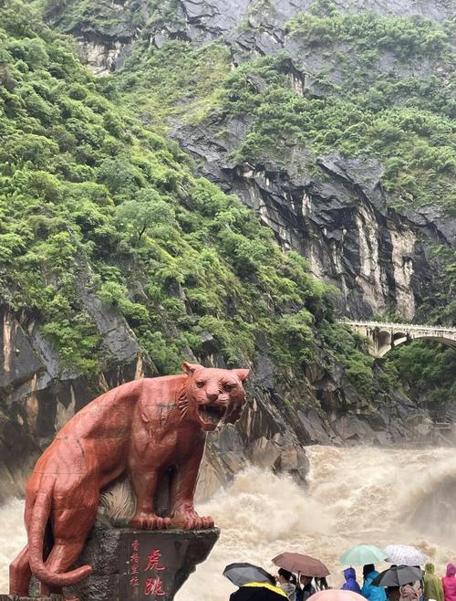 虎跳峡中虎跳清晨金沙江观景湿石阶