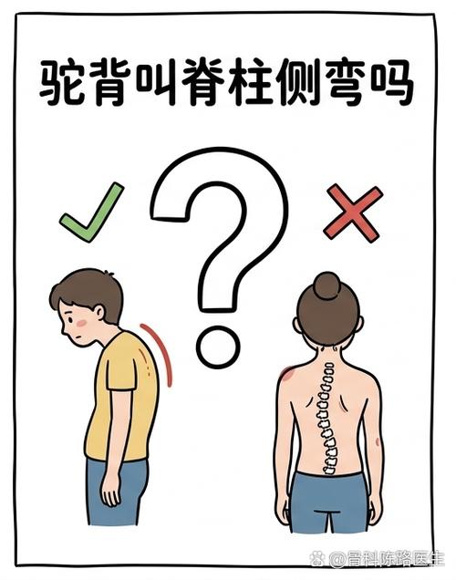 几个传歪了的误区，得掰扯清楚
