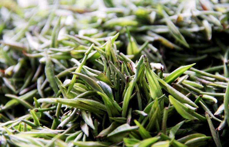 湖北南漳老茶农手工炒制磨坪贡茶
