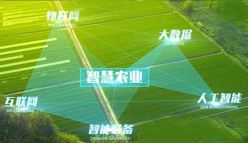 智慧农业技术的未来，得弯下腰贴着地走