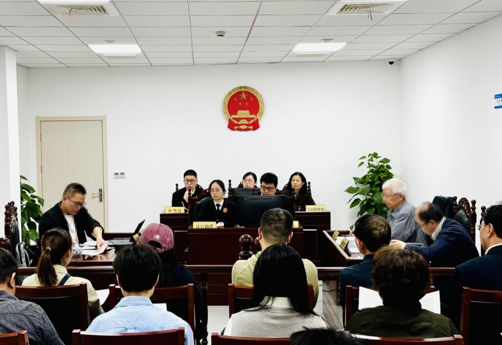 遗产继承纠纷法庭辩论场景