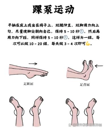 居家坐位脚踝转动暖身示范
