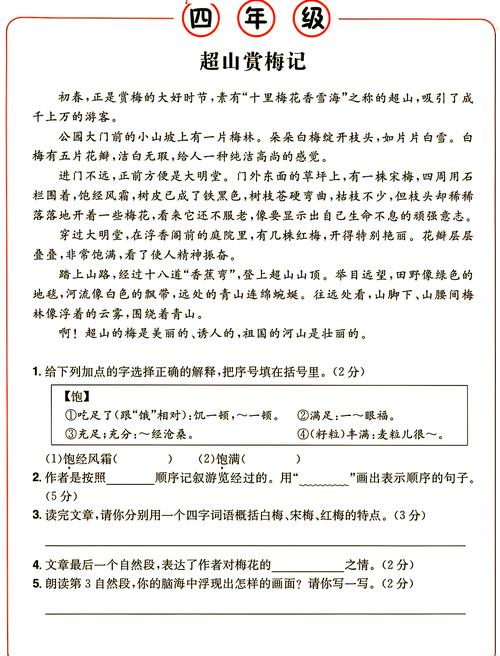 小学四年级语文阅读理解错题试卷特写