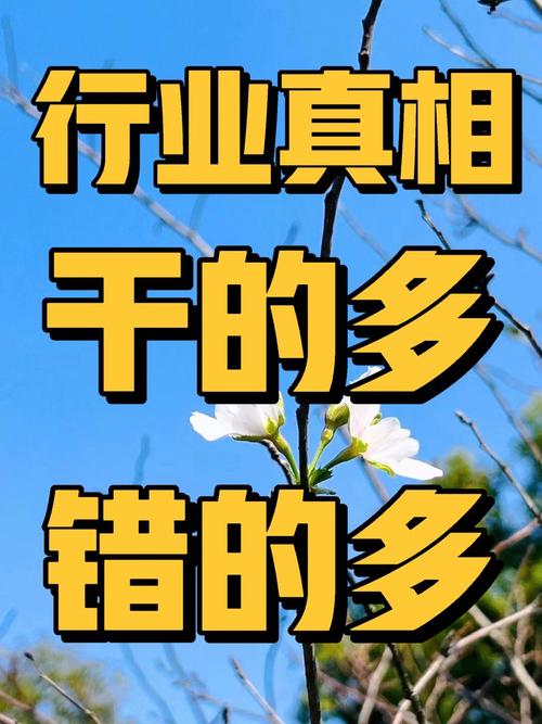 四、说点行业里不能明说的事