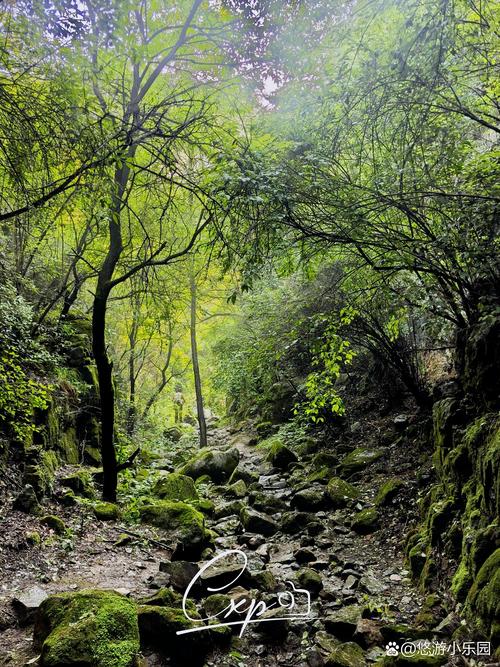 湖北南漳黄龙山口雨后山林