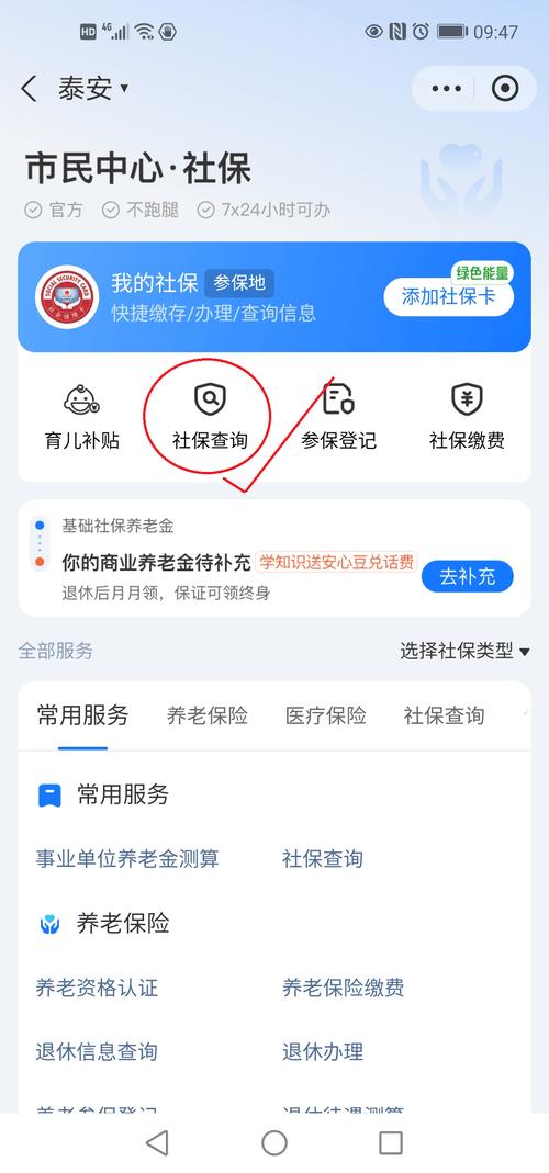 支付宝社保查询养老保险缴纳记录截图