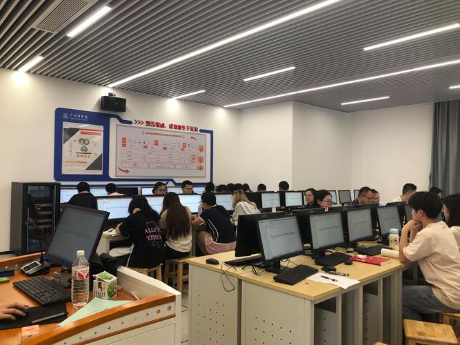 冷门专业毕业生在数据分析公司的跨界工作场景