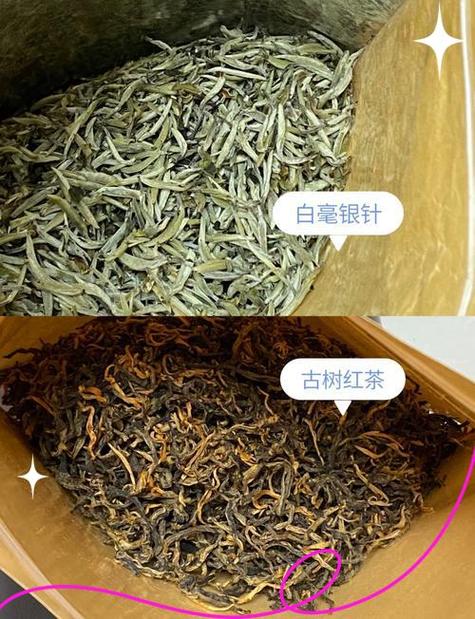 🔥 红茶和白茶:隐藏的入门宝藏