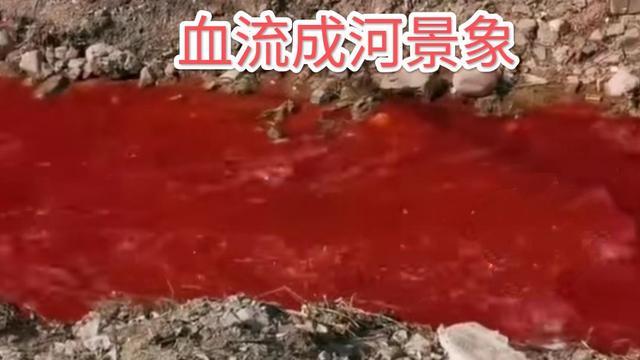 未来 12-18 个月,必然血流成河