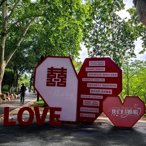 南京秦淮区民政局婚姻登记处门口梧桐树下场景
