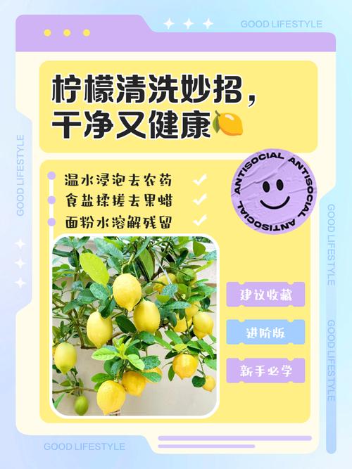 柠檬水微波炉清洁步骤示意图