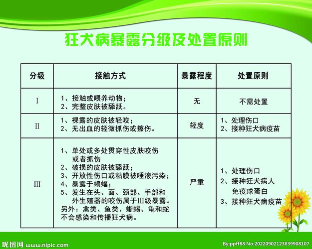 狂犬病门诊暴露分级处置对照表