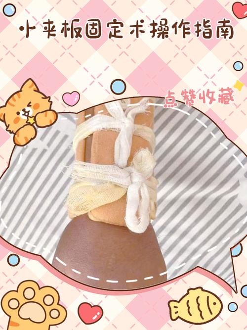 家用硬纸板固定宠物骨折腿部操作图