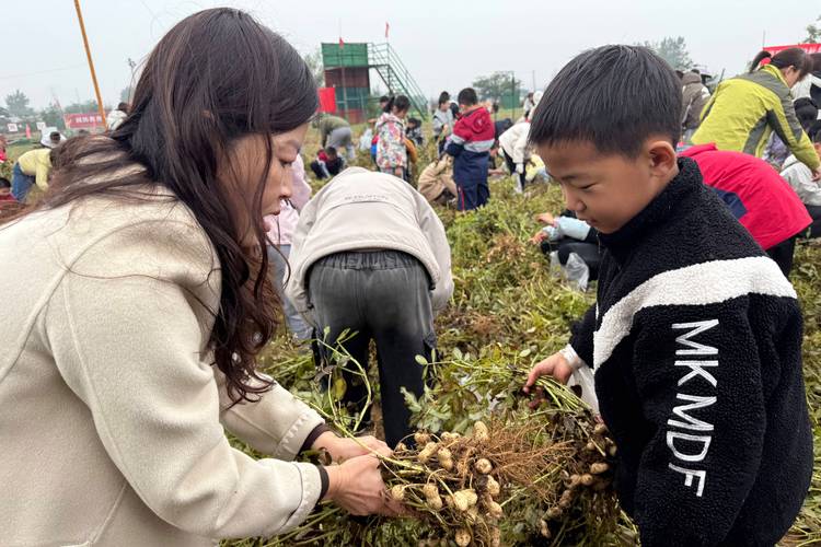 小学生综合实践活动在田间观察花生生长