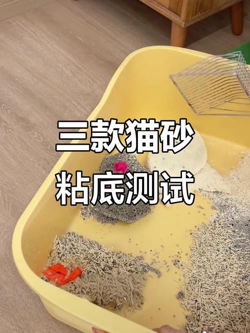 不同类型猫砂结块效果对比图
