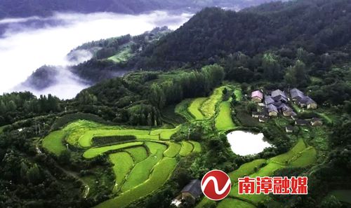 南漳东巩镇山坳里的官米种植梯田