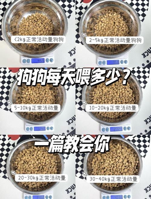 真正适配的喂食量，从来不是抄来的数字